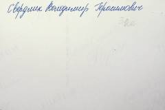 241