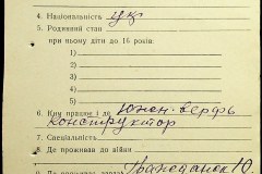 241