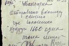 241