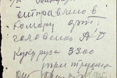 241