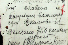 241