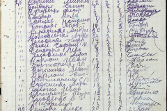 241