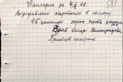241