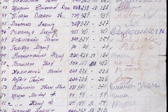 241