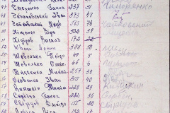 241