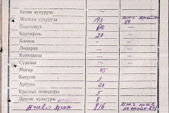 241