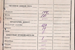 241