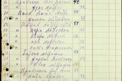 241