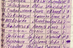 241