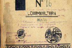 241
