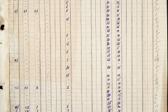 241