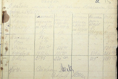 241
