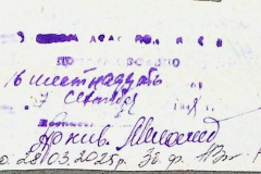241