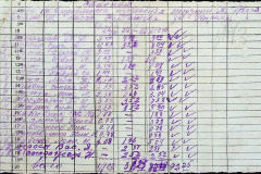 241