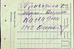 241