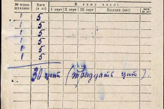 241