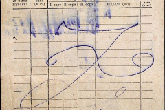 241
