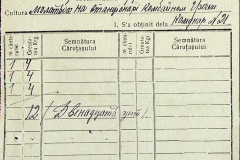 241