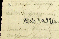 241