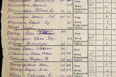 241