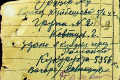 241