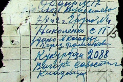 241