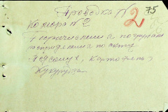241