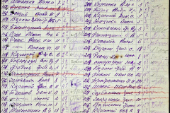 241