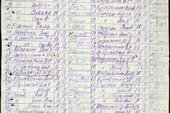 241