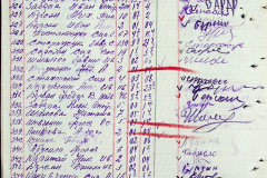 241