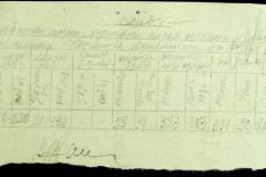 241