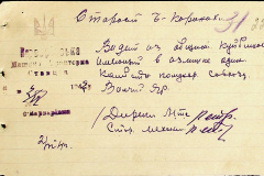 241