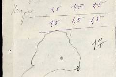 241