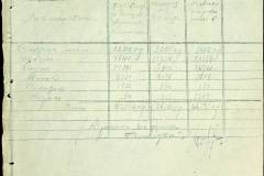 241