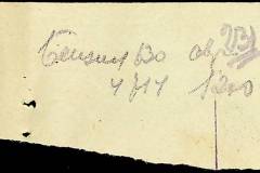 241
