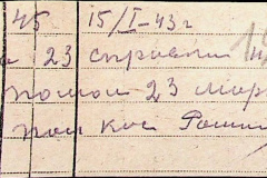 241
