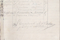 241