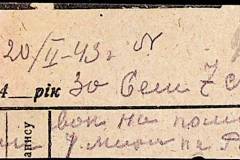 241