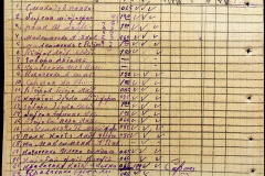 241