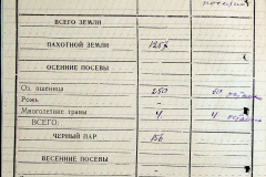 241
