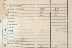 241