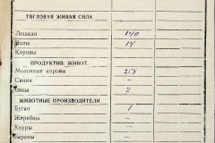 241