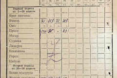 241