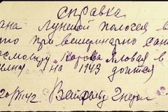 241