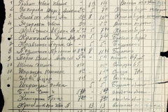 241