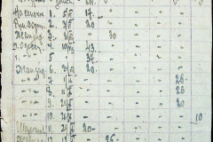 241