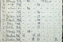 241