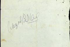 241