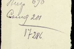 241