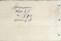 241